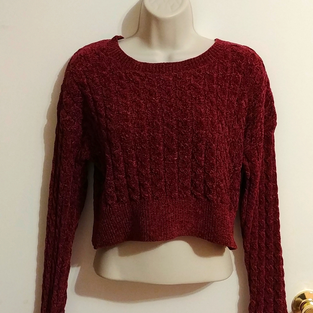 🆕NWOT Crop Sweater